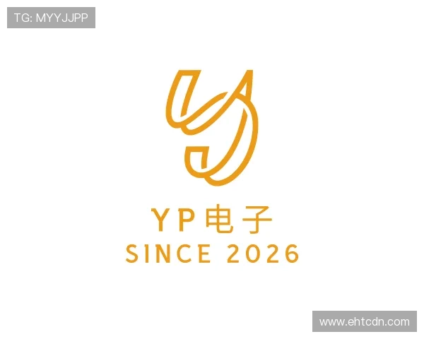 发现YP电子